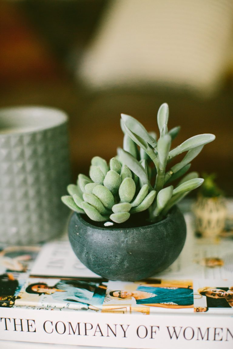 Carriage House for Rent! Wedding Photography Charleston SC